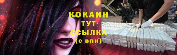 mdpv Богданович