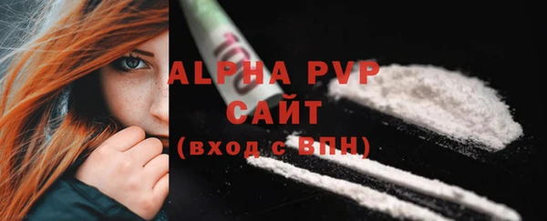 индика Богородск