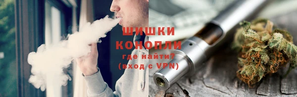 mdpv Богородицк
