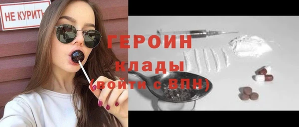 индика Богородск