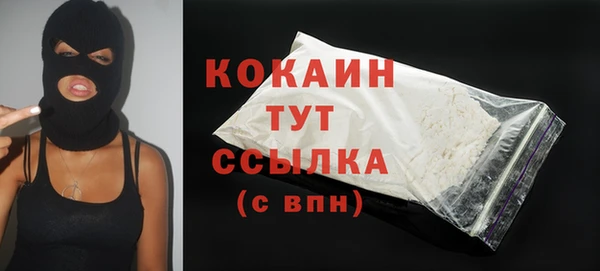 mdpv Богородицк