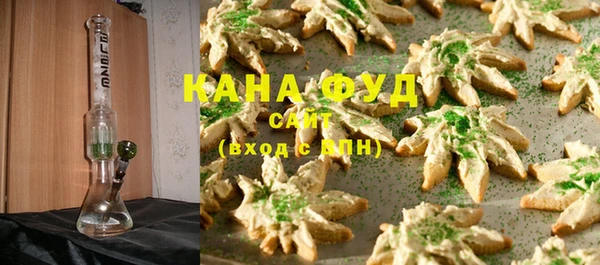 индика Богородск