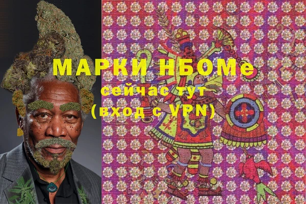 индика Богородск