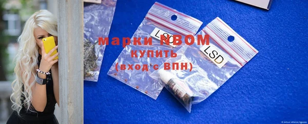индика Богородск