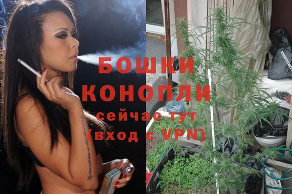 Альфа ПВП Бородино