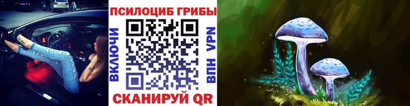 закладки  Вельск  Псилоцибиновые грибы ЛСД 